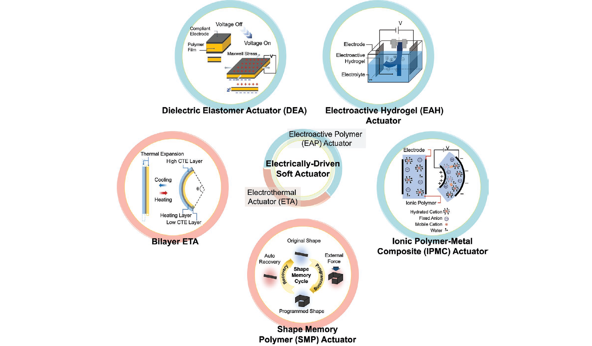 [AMT, 2022] Review, Electrically Driven Soft actuators.png